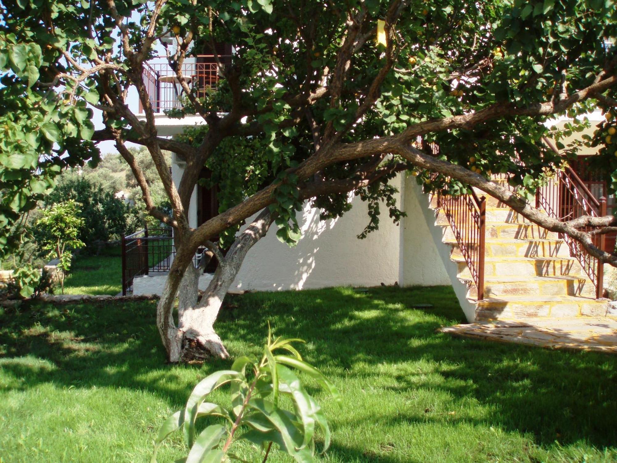 ساموس Scorpios Hotel & Suites المظهر الخارجي الصورة